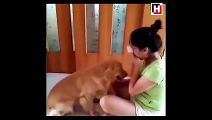 Sahibinin gözyaşlarına dayanamayan köpek!
