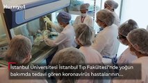 Koronavirüs tedavisinde önemli gelişme... İstanbul Üniversitesi başardı