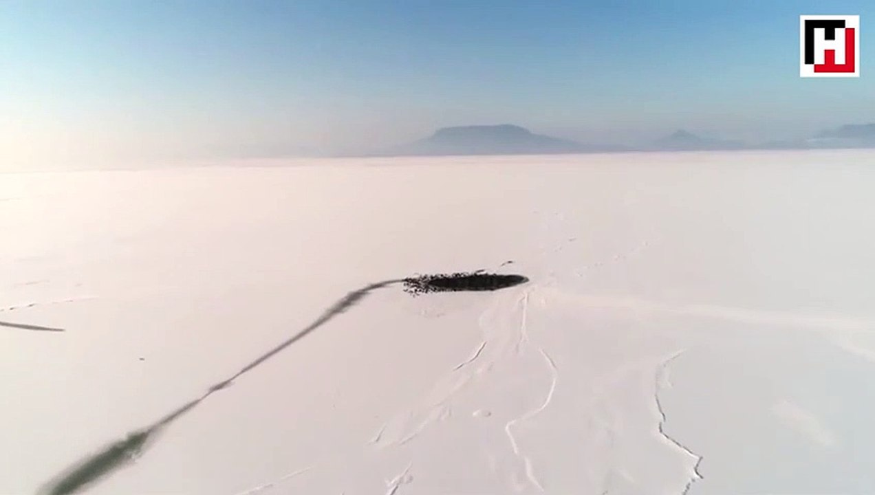 Macaristan'dan görülmeye değer bir an...
