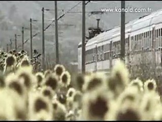 YAPRAK DÖKÜMÜ BÜYÜK FİNAL