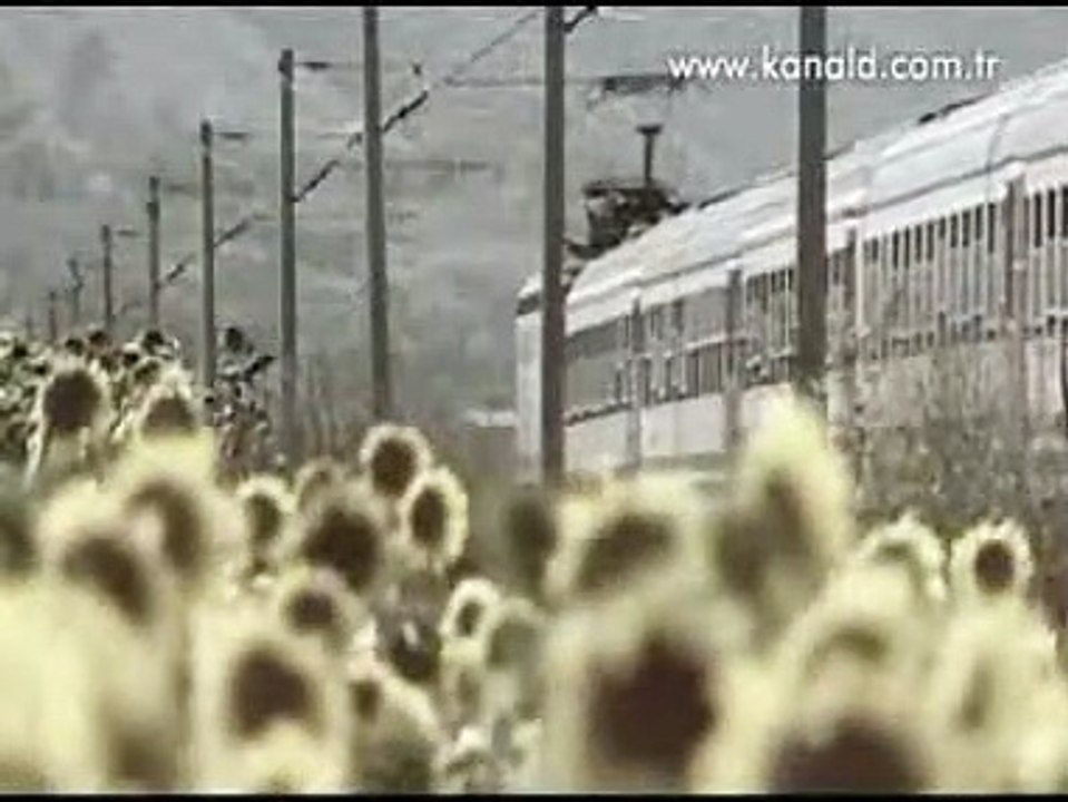 YAPRAK DÖKÜMÜ BÜYÜK FİNAL