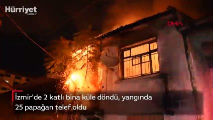 2 katlı bina küle döndü, yangında 25 papağan telef oldu