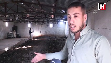 Tarlası için ödünç aldığı solucan gübresinin üreticisi oldu