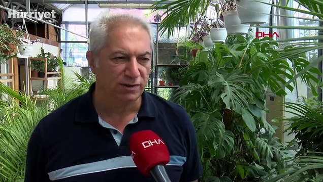 Kadıköy'de 'kahverengi kokarca böceği' kabusu!