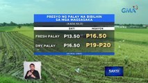 Palay ng mga magsasaka, bibilhin ng SINAG, mga miller at palay trader sa mas mataas na presyo | Saksi