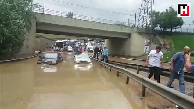 İstanbul otogarına timsah yürüyüşü ile gidiş!
