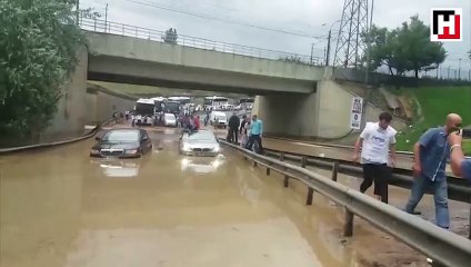 İstanbul otogarına timsah yürüyüşü ile gidiş!