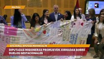 Diputadas misioneras promueven jornadas sobre duelos gestacionales