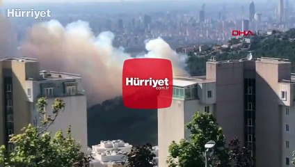 Son dakika! Maltepe'de ormanlık alanda yangın çıktı