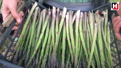 ODTÜ mezunu kariyerini bıraktı! Şimdi talebe yetişemiyor