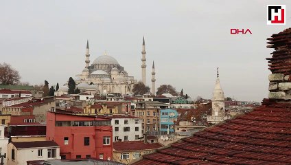 İstanbul'da kış güneşi ve kuşlar