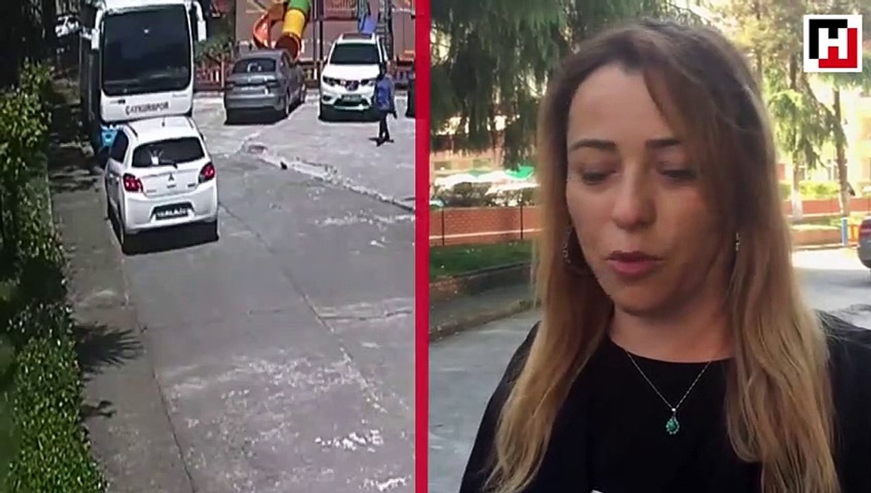 Yerdeki yavru kargaya yardım etmek isterken, diğer kargaların saldırısına uğradı