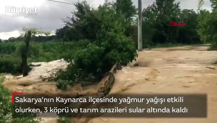 Sakarya Kaynarca'da tarım arazileri sular altında kaldı