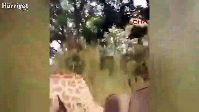 Kenya'da turistlerin kızgın zürafa ile imtihanı