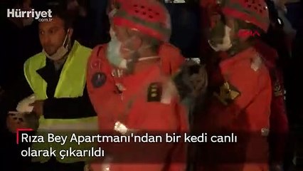 Rıza Bey Apartmanı'ndan bir kedi canlı olarak çıkarıldı