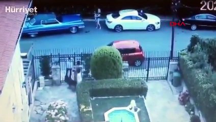 İstanbul'da korkunç olay! Köpeği silahla vurup öldürdü