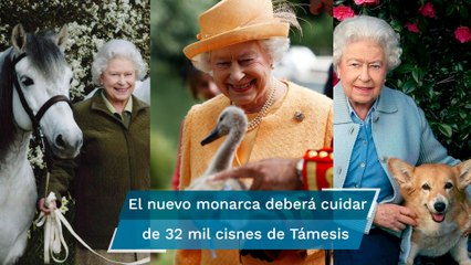 Carlos III heredó los exóticos animales de la reina Isabel
