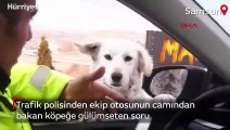 Ekip otosuna gelen köpekle polisin gülümseten anları