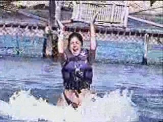 Les dauphins (xcaret)