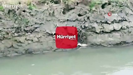 Van balığıyla yılanın amansız mücadelesi kamerada