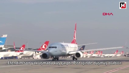 THY uçağına kuş çarptı  2 uçak pisti pas geçti