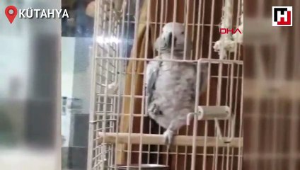 Papağan Paşa Simav şivesiyle ilgi odağı oldu