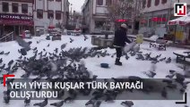 Yem yiyen kuşlardan Türk bayrağı
