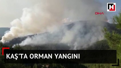 Kaş'ta orman yangını