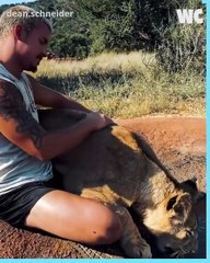 This Man Is The Real Life Lion King!