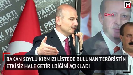Bakan Soylu kırmızı listede bulunan teröristin etkisiz hale getirildiğini açıkladı