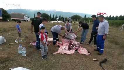Sosyal mesafe kuralını ihlal edip, sağlıksız koşullarda kurban kestiler