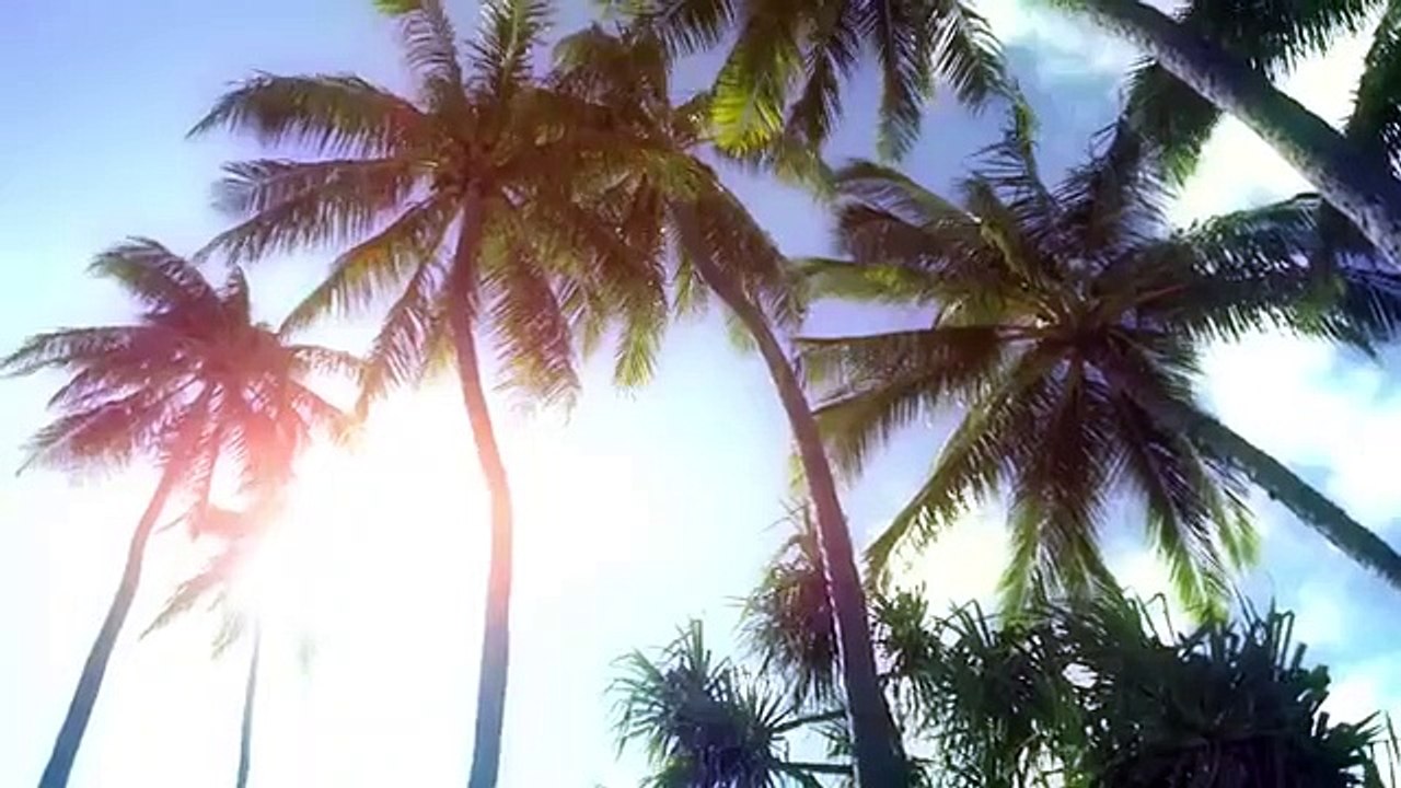 Terrace House - Aloha State - Se1 - Ep02 HD Watch HD Deutsch