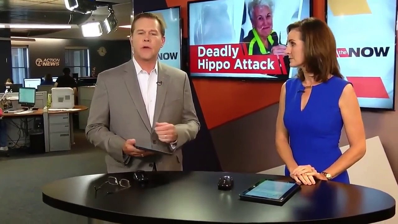 Why Don't Crocodiles Attack Hippos