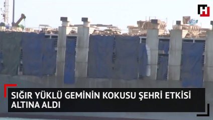 Sabah demirledi, kokusu tüm kenti sardı