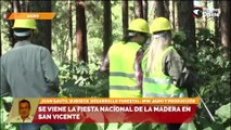 La mesa forestal tendrá su espacio en distintas zonas del territorio Misionero