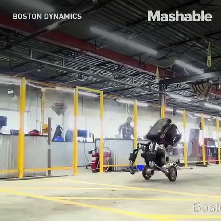 Meet your robot warrior