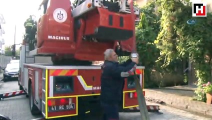 Yangına uykuda yakalanan aileyi köpekleri uyandırdı