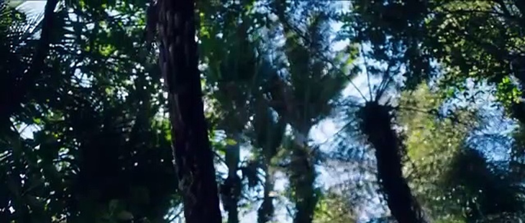 The Dead Lands - Se1 - Ep04 - The Exorcism of the Boy HD Watch HD Deutsch