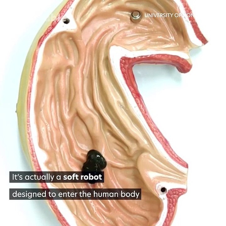 This shapeshifting slime is designed to enter the human body