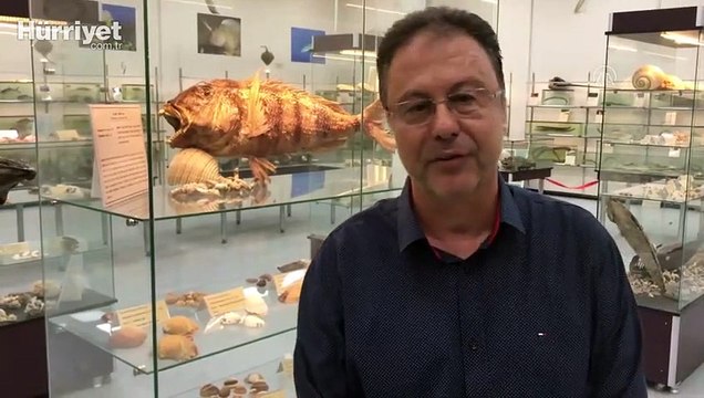 Prof. Dr. Tevfik Tansel Tanrıkul: Somon balığının Kovid-19 taşıyıcısı olduğuna dair bilimsel kanıt yok