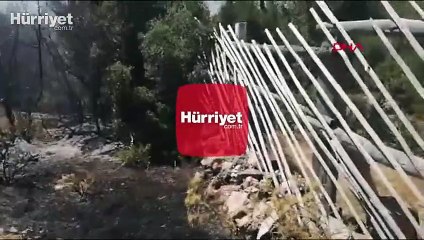 Son dakika... Muğla Menteşe'de korkutan yangın