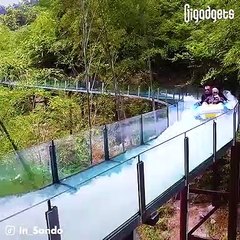 Fodder Group Hydroponic Fodder System