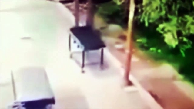 The Osbournes Want to Believe - Se1 - Ep04 - Back On Earth HD Watch HD Deutsch