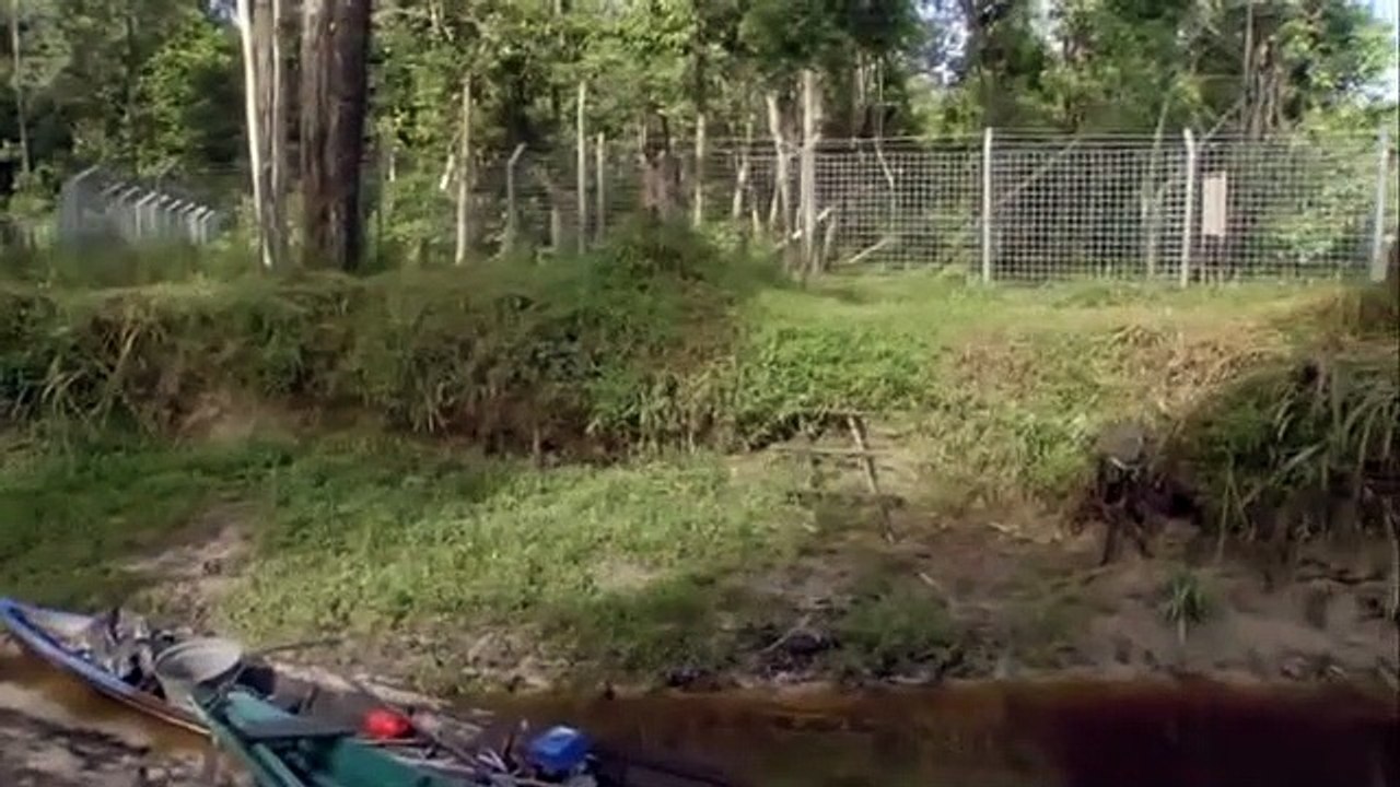 Orangutan Island - Se1 - Ep05 - Break Out HD Watch HD Deutsch