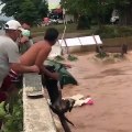 Passers-by Rescue Stray Dog From Raging Flood ❤️