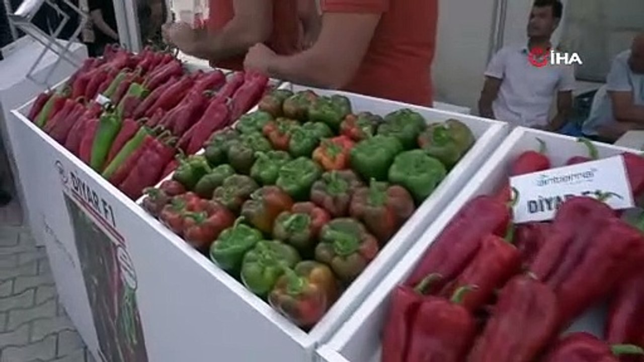İki dakikada 188 gram acı biber yedi