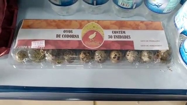 Filhotes de codorna nascem em prateleira de supermercado em Campo Maior