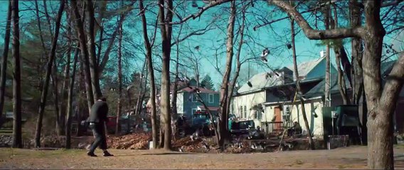 The Skeleton Twins Bande-annonce (ES)