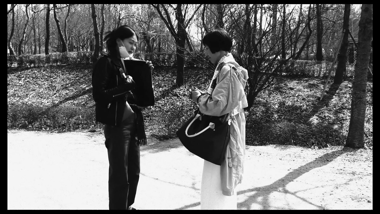 DIE SCHRIFTSTELLERIN, IHR FILM UND EIN GLÜCKLICHER ZUFALL