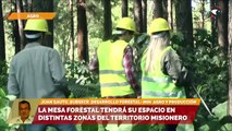 La mesa forestal tendrá su espacio en distintas zonas del territorio Misionero